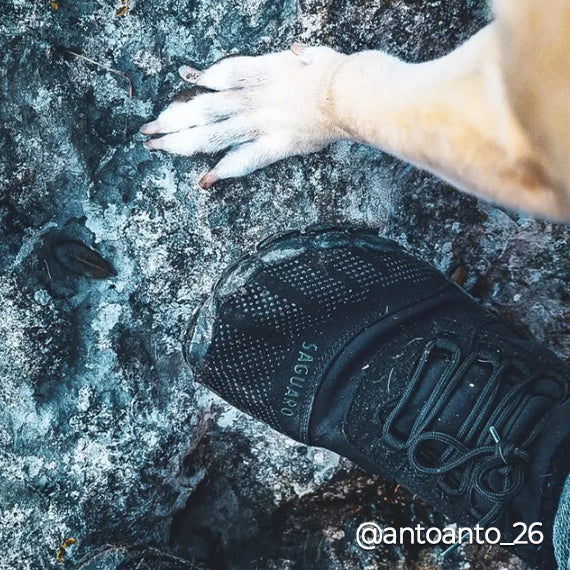 Saguaro Barfußschuhe