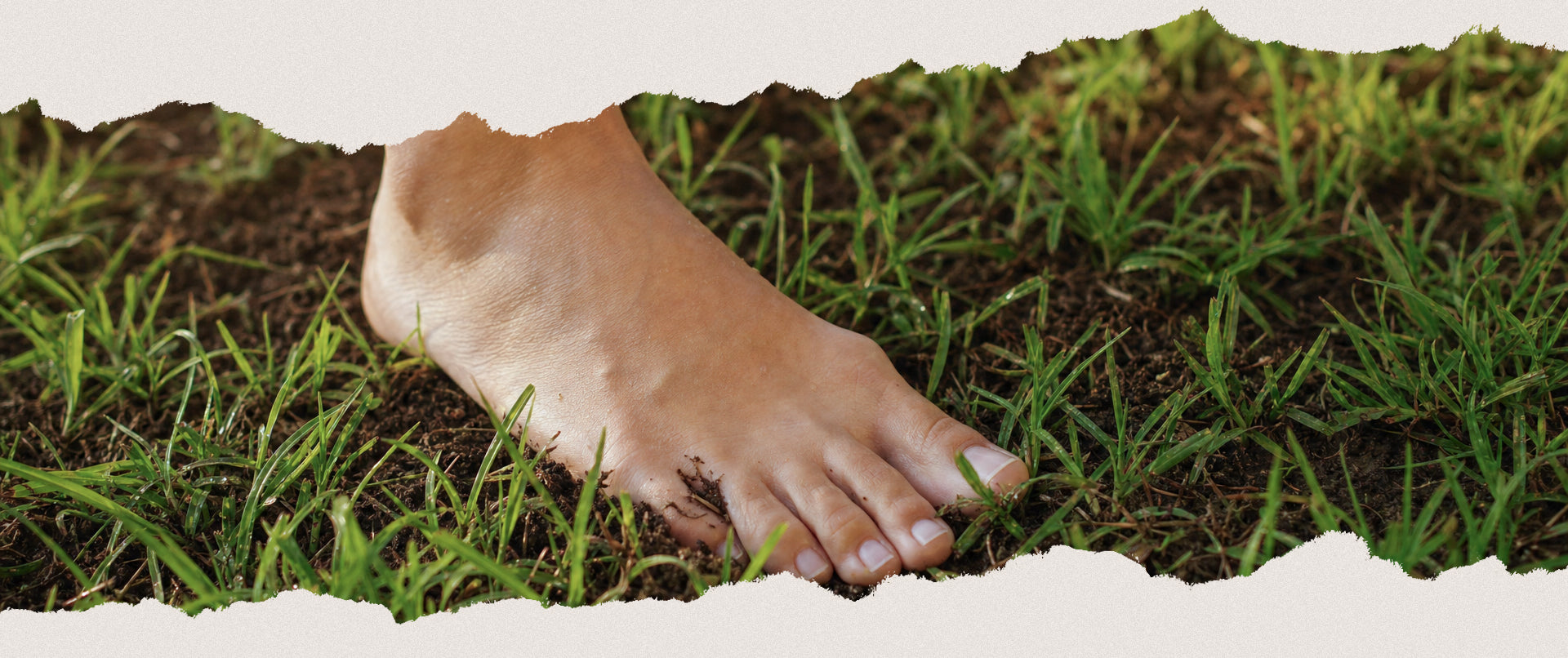 Barfüßig auf dem Gras – den Körper wieder mit natürlicher Bewegung und dem Gefühl für den Boden verbinden.
