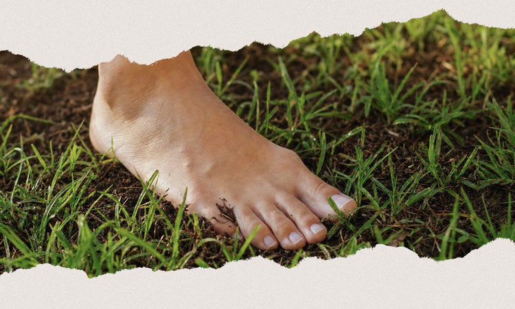Barfüßig auf dem Gras – den Körper wieder mit natürlicher Bewegung und dem Gefühl für den Boden verbinden.