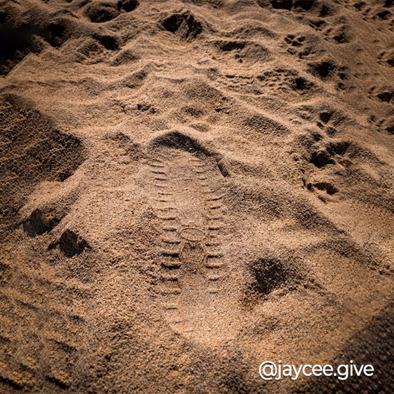 Saguaro Barfußschuhe